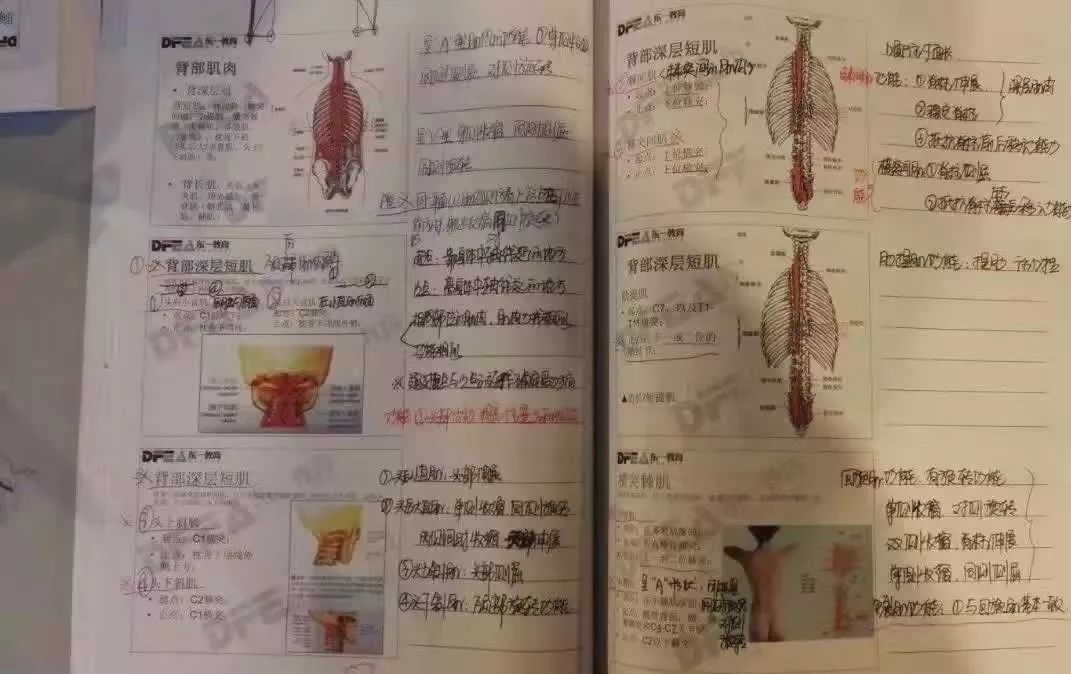 揭秘提升一肖一_全面解答解剖落实_尊贵版24.20.65.139