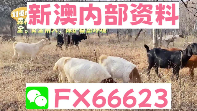 新澳兔费资料