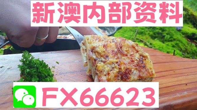 2024新澳资料大全_决策资料动态解析_vip155.170.177.216