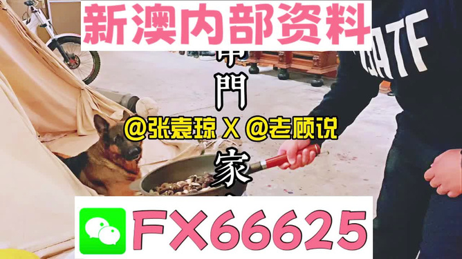 新澳门管家婆一句话_准确资料灵活解析_至尊版47.67.180.112